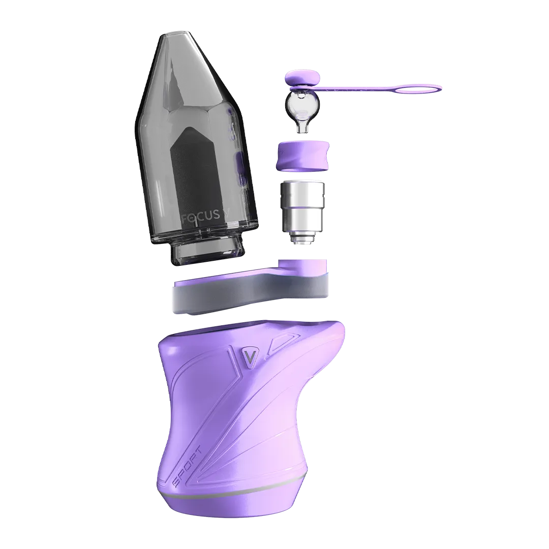 Focus V CARTA SPORT dab rig Lilac draagbaar