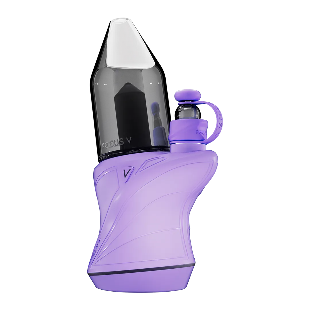 Focus V CARTA SPORT dab rig Lilac draagbaar