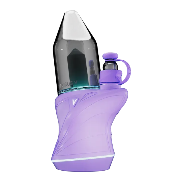 Focus V CARTA SPORT dab rig Lilac draagbaar