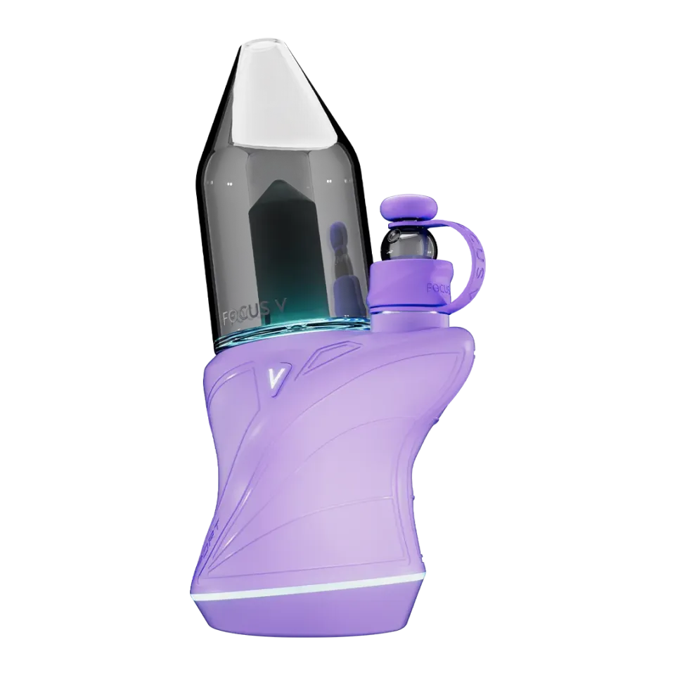 Focus V CARTA SPORT dab rig Lilac draagbaar