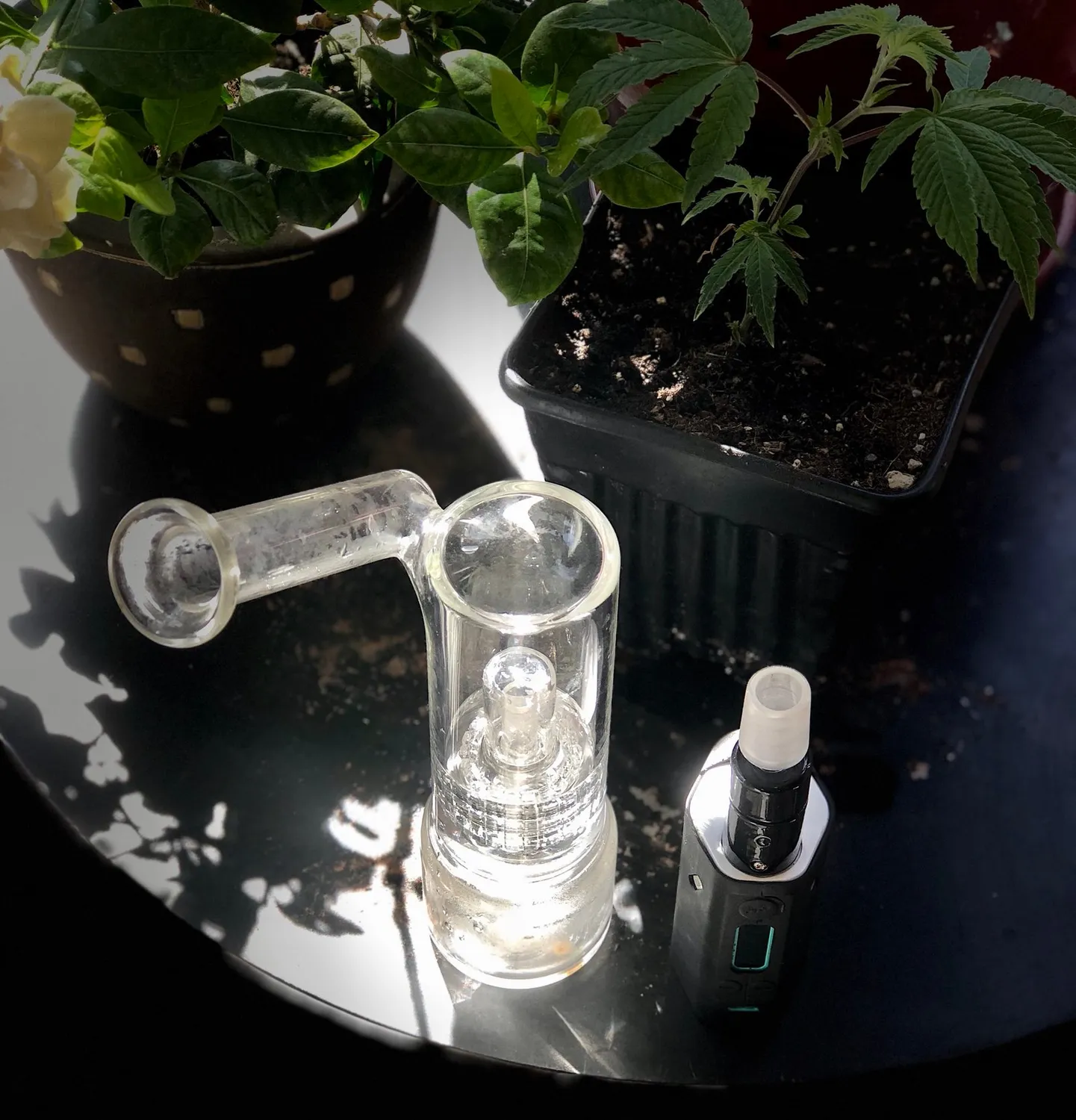 Divine Tribe Gen 2 DC glazen opzetstuk keramiek 14mm 18mm