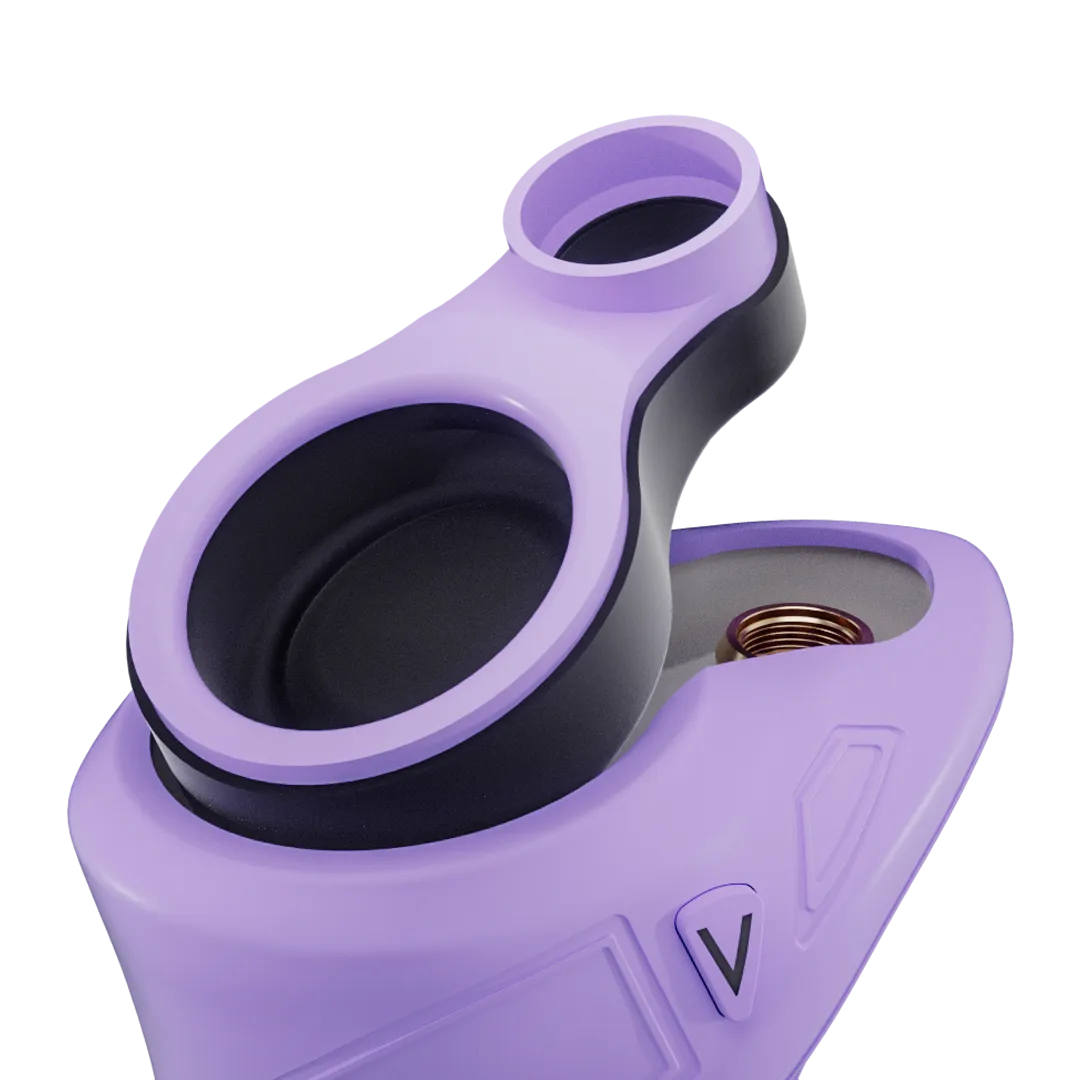 Focus V CARTA SPORT dab rig Lilac draagbaar