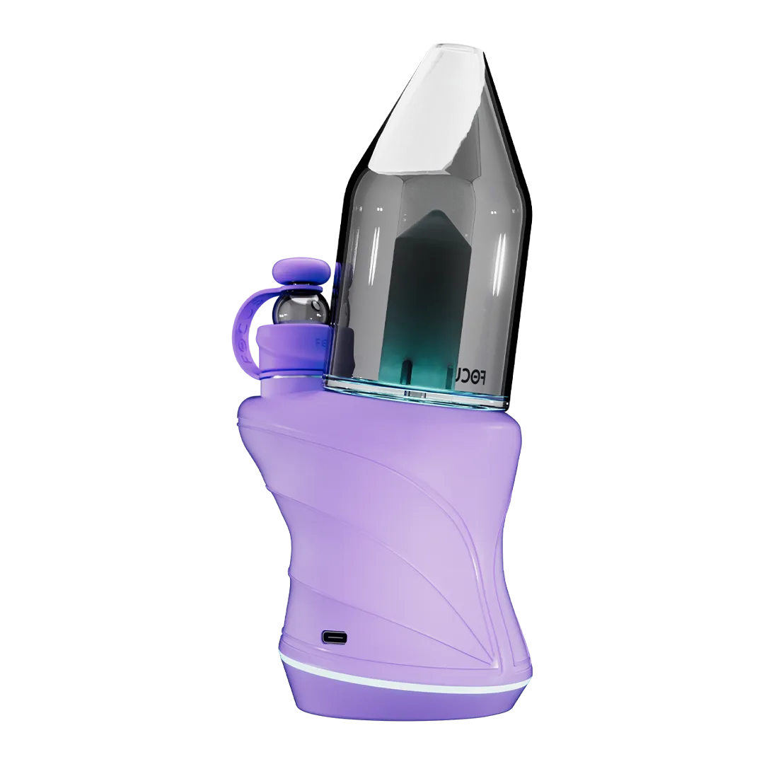 Focus V CARTA SPORT dab rig Lilac draagbaar